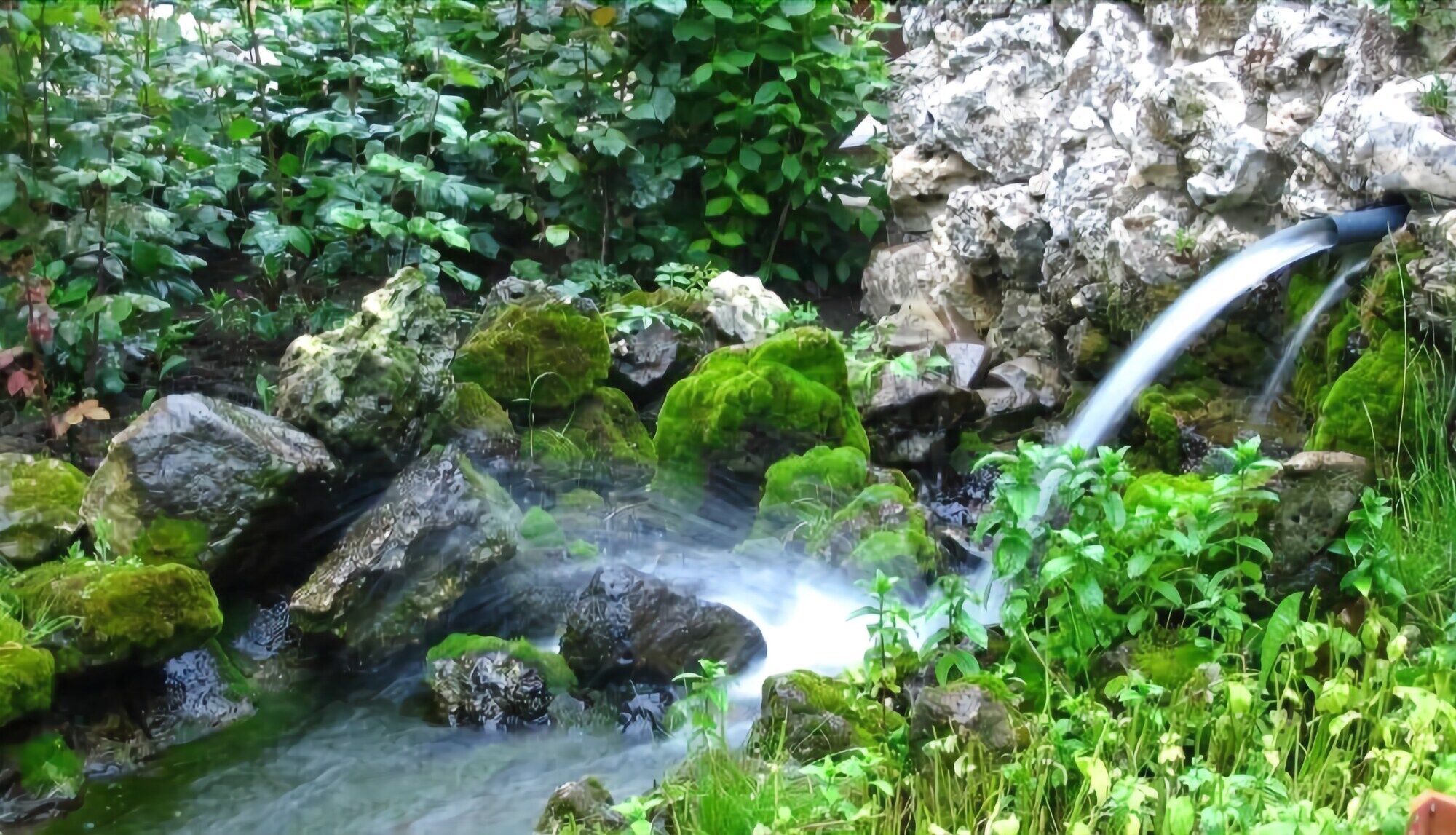 Hotel Izvora Kranevo Bagian luar foto